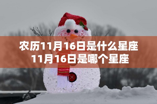 农历11月16日是什么星座 11月16日是哪个星座