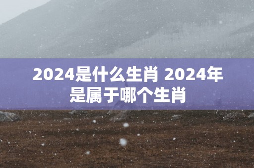 2025是什么生肖 2025年是属于哪个生肖