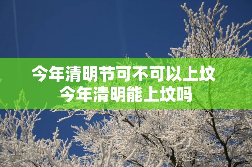 今年清明节可不可以上坟 今年清明能上坟吗