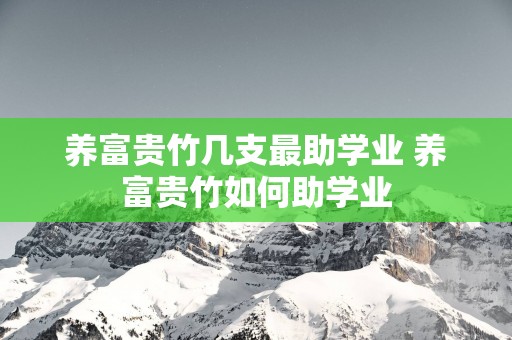 养富贵竹几支最助学业 养富贵竹如何助学业