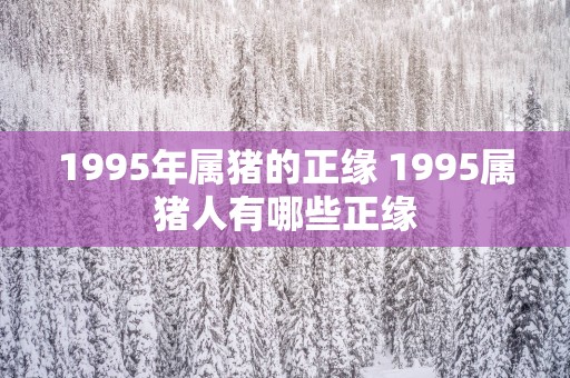 1995年属猪的正缘 1995属猪人有哪些正缘