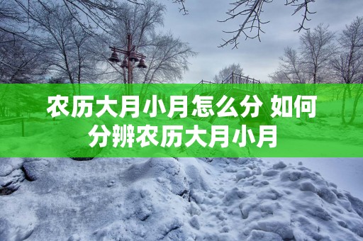 农历大月小月怎么分 如何分辨农历大月小月