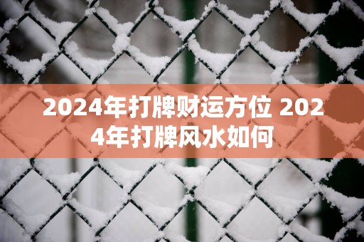 2025年打牌财运方位 2025年打牌风水如何