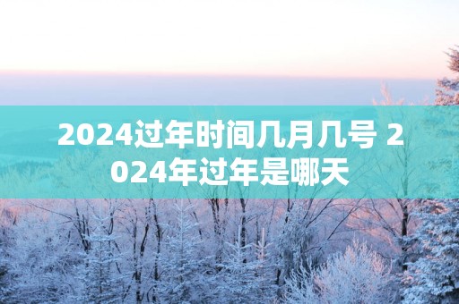 2025过年时间几月几号 2025年过年是哪天