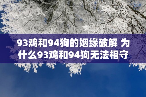 93鸡和94狗的姻缘破解 为什么93鸡和94狗无法相守