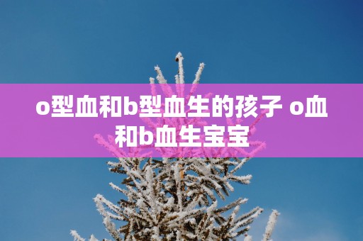 o型血和b型血生的孩子 o血和b血生宝宝