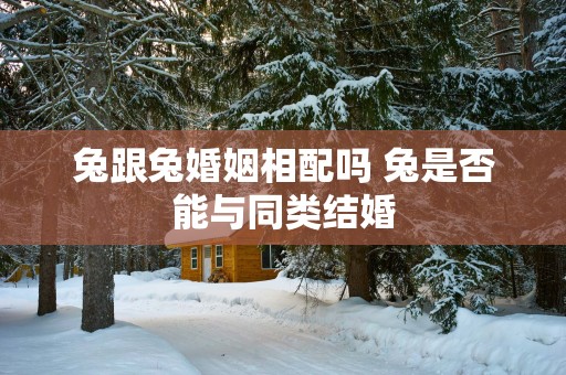 兔跟兔婚姻相配吗 兔是否能与同类结婚
