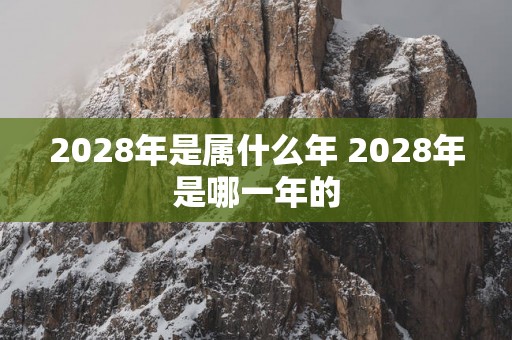 2028年是属什么年 2028年是哪一年的