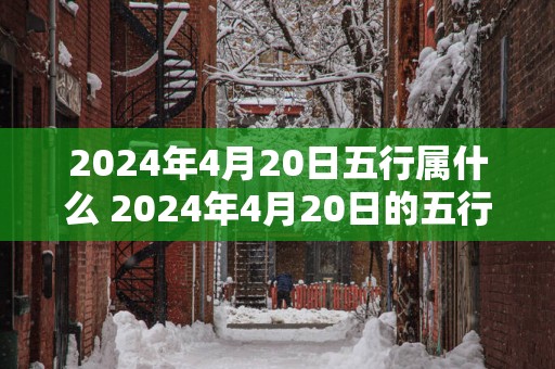 2024年4月20日五行属什么 2024年4月20日的五行属于什么