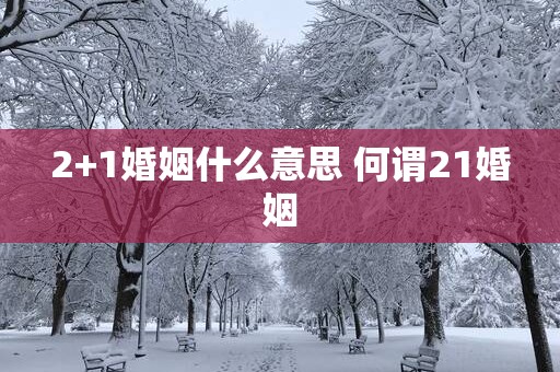 2+1婚姻什么意思 何谓21婚姻