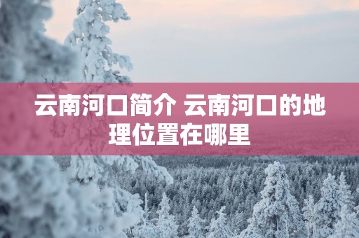 云南河口简介 云南河口的地理位置在哪里