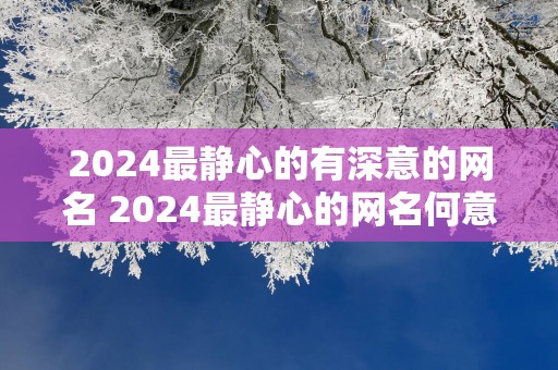 2025最静心的有深意的网名 2025最静心的网名何意