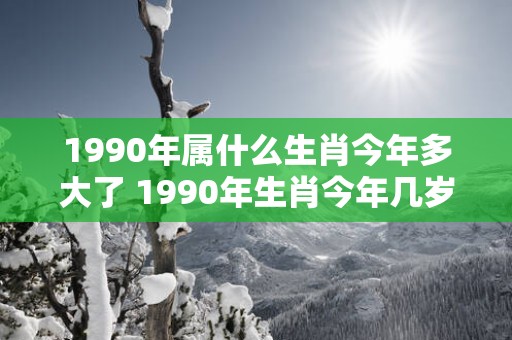 1990年属什么生肖今年多大了 1990年生肖今年几岁