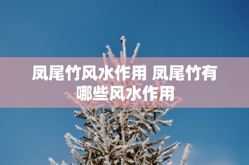 凤尾竹风水作用 凤尾竹有哪些风水作用