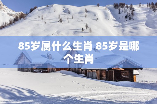 85岁属什么生肖 85岁是哪个生肖