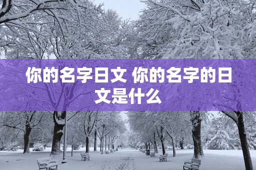 你的名字日文 你的名字的日文是什么
