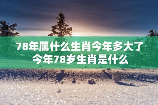 78年属什么生肖今年多大了 今年78岁生肖是什么
