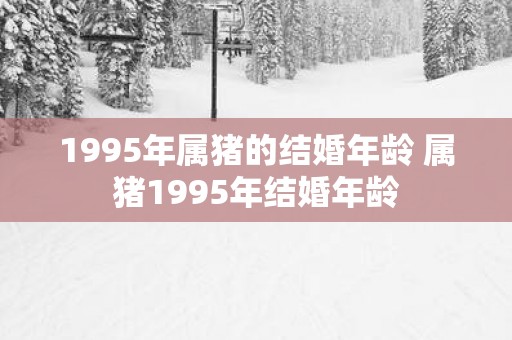1995年属猪的结婚年龄 属猪1995年结婚年龄