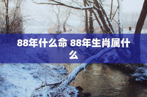 88年什么命 88年生肖属什么