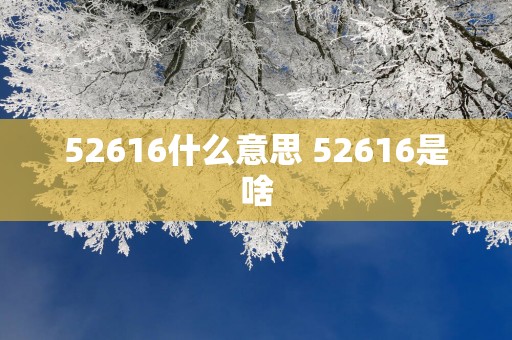 52616什么意思 52616是啥