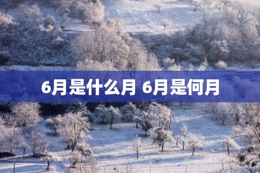 6月是什么月 6月是何月
