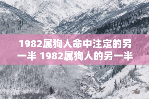 1982属狗人命中注定的另一半 1982属狗人的另一半命中何处