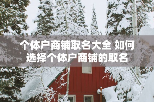 个体户商铺取名大全 如何选择个体户商铺的取名