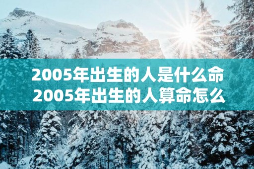 2005年出生的人是什么命 2005年出生的人算命怎么样