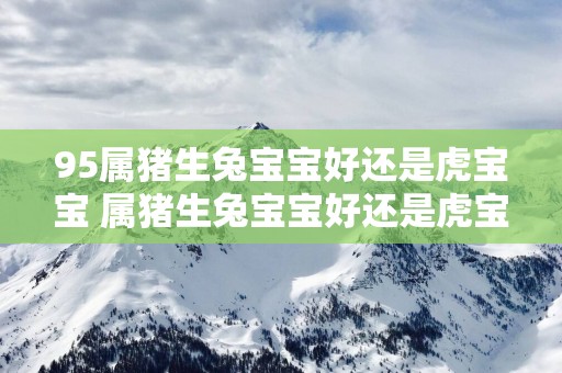 95属猪生兔宝宝好还是虎宝宝 属猪生兔宝宝好还是虎宝宝