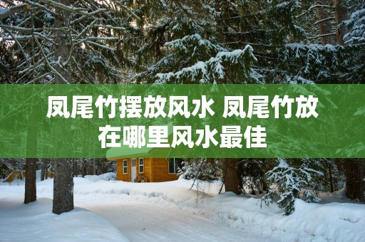 凤尾竹摆放风水 凤尾竹放在哪里风水最佳