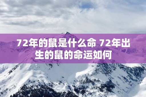 72年的鼠是什么命 72年出生的鼠的命运如何