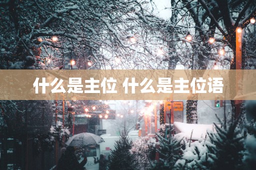 什么是主位 什么是主位语