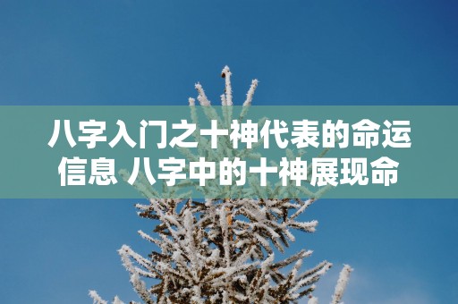 八字入门之十神代表的命运信息 八字中的十神展现命运