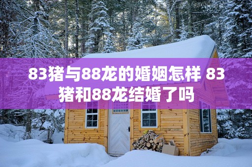 83猪与88龙的婚姻怎样 83猪和88龙结婚了吗