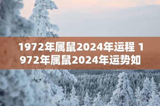 1972年属鼠2025年运程 1972年属鼠2025年运势如何