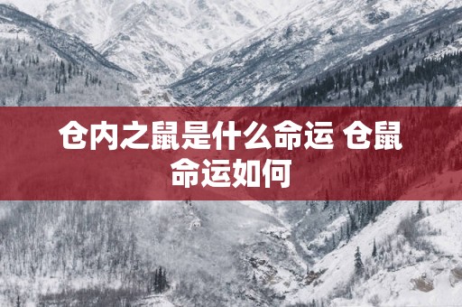 仓内之鼠是什么命运 仓鼠命运如何