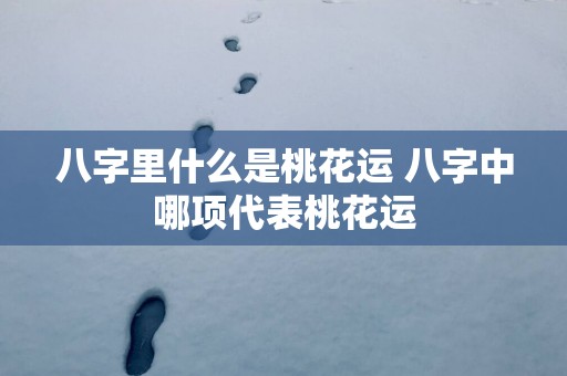 八字里什么是桃花运 八字中哪项代表桃花运