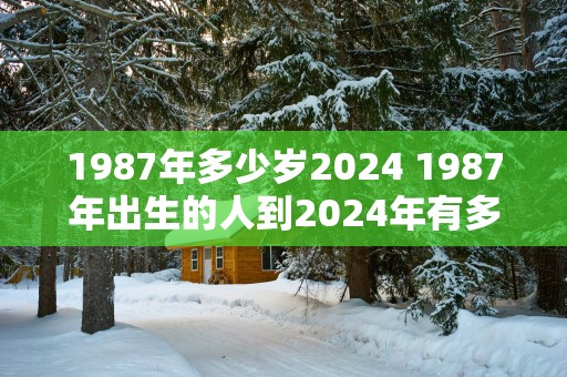 1987年多少岁2025 1987年出生的人到2025年有多少岁
