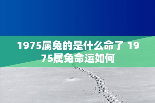 1975属兔的是什么命了 1975属兔命运如何