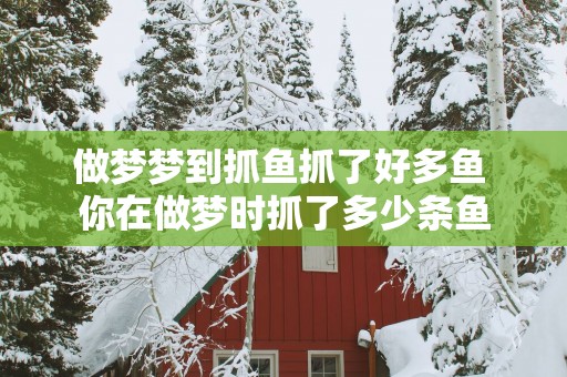 做梦梦到抓鱼抓了好多鱼 你在做梦时抓了多少条鱼