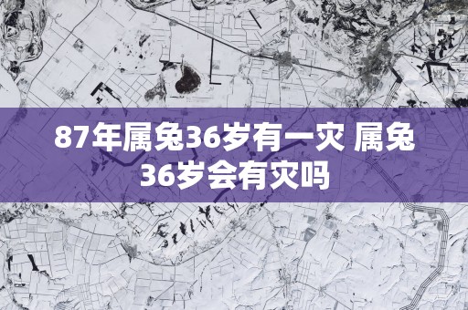 87年属兔36岁有一灾 属兔36岁会有灾吗
