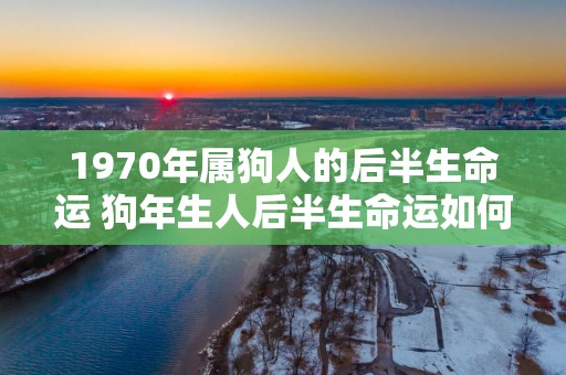 1970年属狗人的后半生命运 狗年生人后半生命运如何