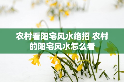 农村看阳宅风水绝招 农村的阳宅风水怎么看