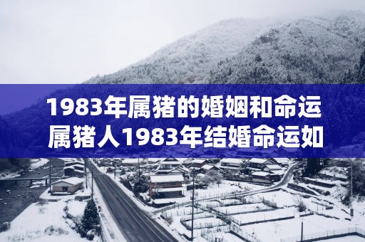 1983年属猪的婚姻和命运 属猪人1983年结婚命运如何
