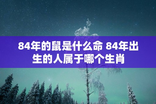 84年的鼠是什么命 84年出生的人属于哪个生肖