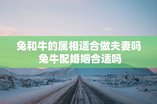 兔和牛的属相适合做夫妻吗 兔牛配婚姻合适吗