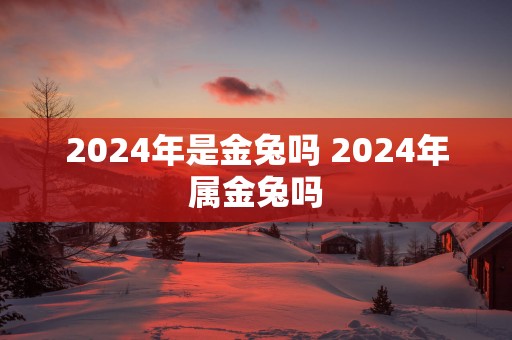 2025年是金兔吗 2025年属金兔吗