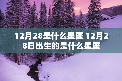 12月28是什么星座 12月28日出生的是什么星座