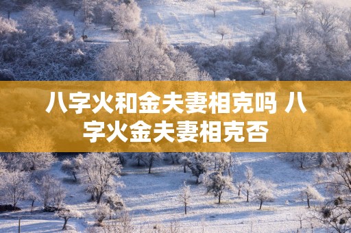 八字火和金夫妻相克吗 八字火金夫妻相克否