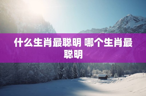 什么生肖最聪明 哪个生肖最聪明